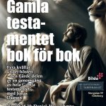 Genom GT bok för bok